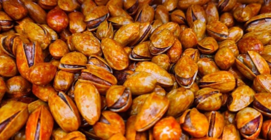 Untitled design (26)